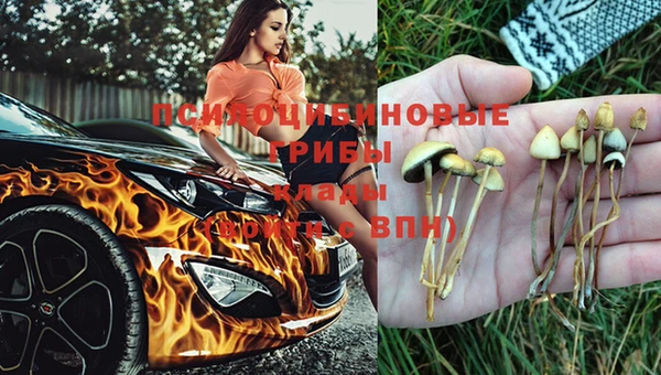 синтетический гашиш Каменногорск